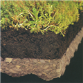 Icopal Icoflor Vegetationsplatte